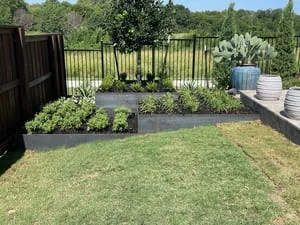 Raised garden beds with mulch, ornamental plants, black fencing, and manicured lawn