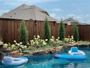 Pool landscape with arborvitae trees, white flowering plants, stone edging, and wooden fence