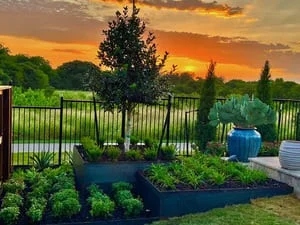 Dark metal raised garden beds with metal fence, ornamental plantings, and blue water feature at sunset