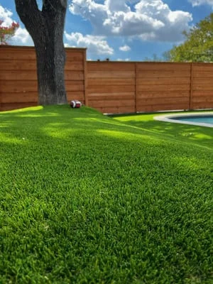 Newly installed sod lawn with mature tree and horizontal wood fence in residential backyard