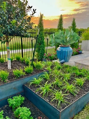 Steel-edged raised garden beds with ornamental grasses and mixed plantings at sunset